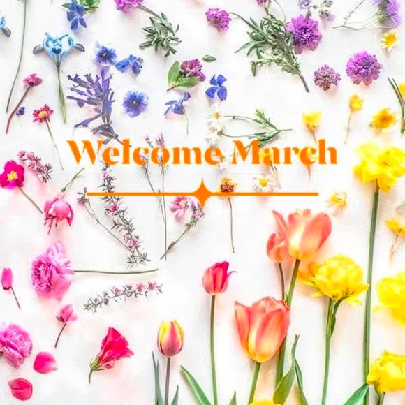 Feel the Magic while you shop ✨ 🪄✨Bundle your likes “♥️” Magically 30% off ✨🪄✨ - Picture 3 of 16